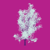 greenshift tree