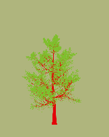 greenshift tree