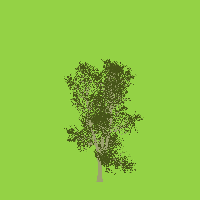 greenshift tree