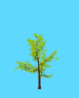 greenshift tree