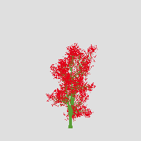 greenshift tree