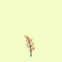 greenshift tree