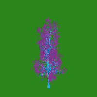 greenshift tree