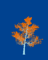 greenshift tree