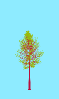 greenshift tree