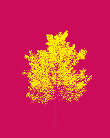 greenshift tree
