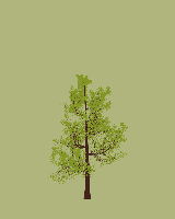 greenshift tree