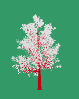greenshift tree