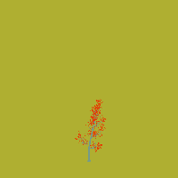 greenshift tree