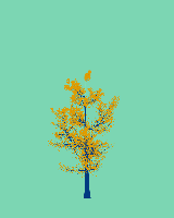 greenshift tree