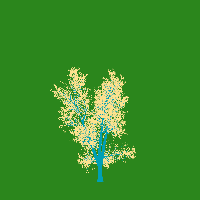 greenshift tree