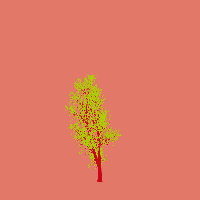greenshift tree