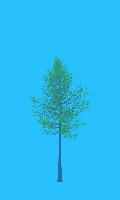 greenshift tree