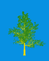 greenshift tree