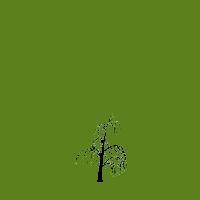 greenshift tree