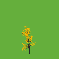 greenshift tree