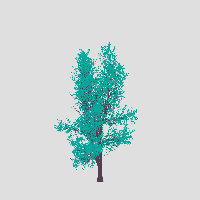 greenshift tree