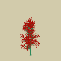 greenshift tree