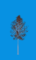 greenshift tree