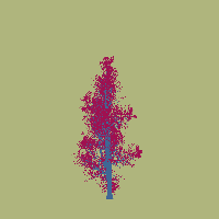 greenshift tree