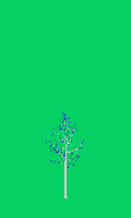 greenshift tree