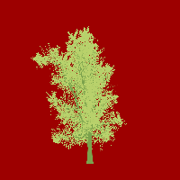 greenshift tree