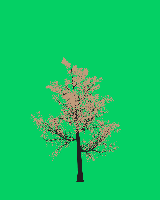 greenshift tree