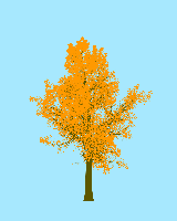 greenshift tree