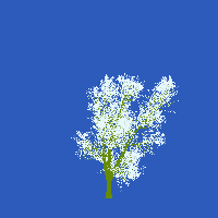 greenshift tree