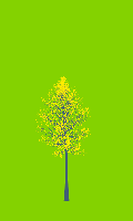 greenshift tree