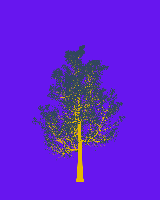 greenshift tree