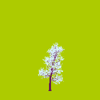 greenshift tree