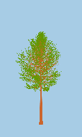 greenshift tree