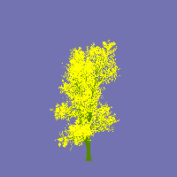 greenshift tree
