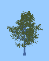 greenshift tree