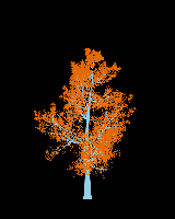 greenshift tree