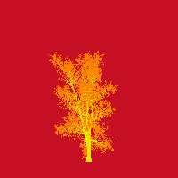 greenshift tree