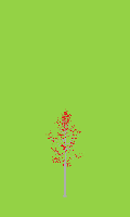 greenshift tree
