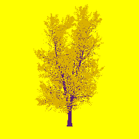 greenshift tree