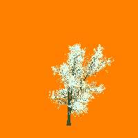 greenshift tree