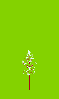 greenshift tree