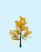 greenshift tree