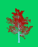 greenshift tree