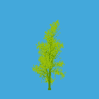 greenshift tree