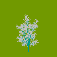greenshift tree