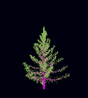 greenshift tree