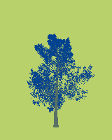 greenshift tree