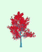 greenshift tree