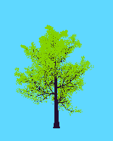 greenshift tree