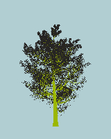greenshift tree